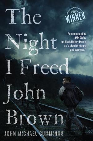 Book cover of The Night I Freed John Brown
