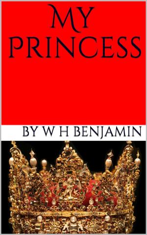 bigCover of the book My Princess by 