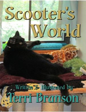 Book cover of Scooter's World