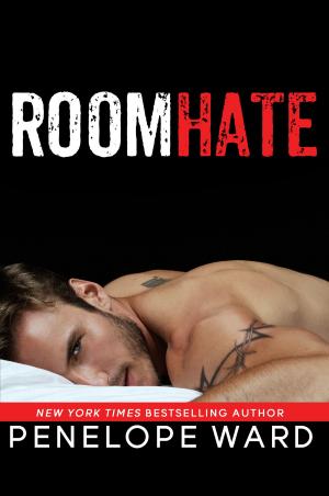 Book cover of RoomHate