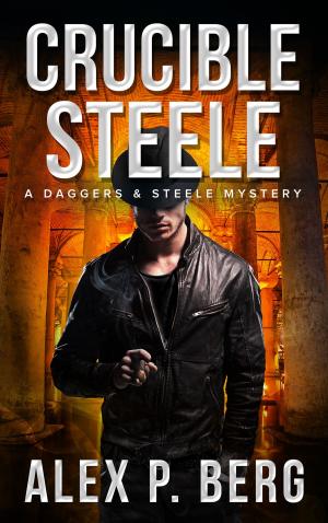 Cover of the book Crucible Steele by D.V. Berkom