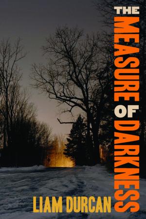 Cover of the book The Measure of Darkness by Sharona Muir