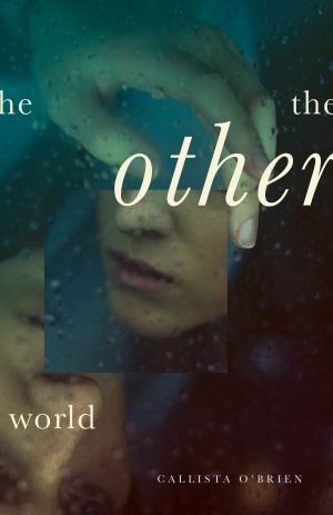 Cover of the book The Other World by Kim Iverson Headlee