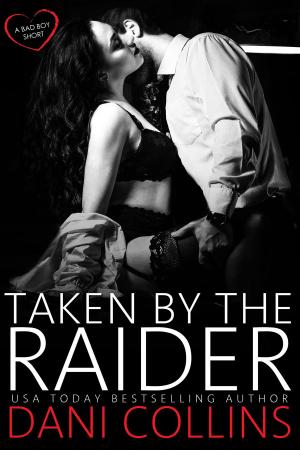 Cover of the book Taken by the Raider by Ann B. Harrison