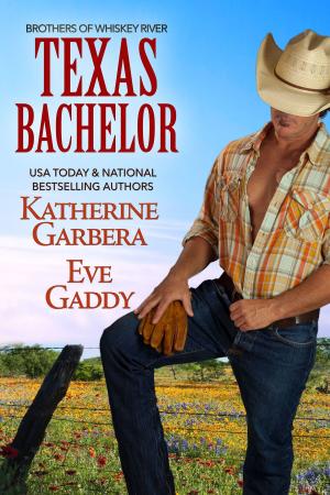 Book cover of Texas Bachelor