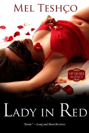 Cover of the book Lady in Red by Jamie K. Schmidt