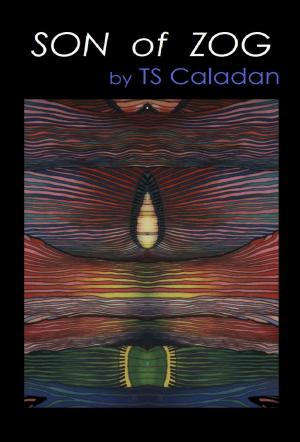 Cover of the book Son of Zog by TS Caladan