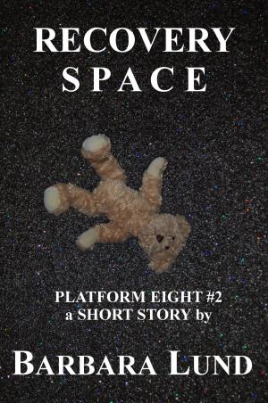 Cover of the book Recovery Space by Kethric Wilcox