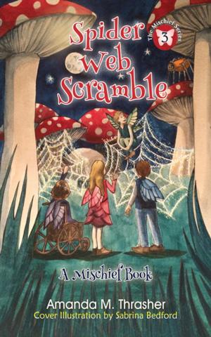 Cover of the book Spider Web Scramble by Lynn Ames