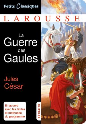 Cover of the book La Guerre des Gaules by Anaïs Galon, Christine Nougarolles, Julie Rinaldi