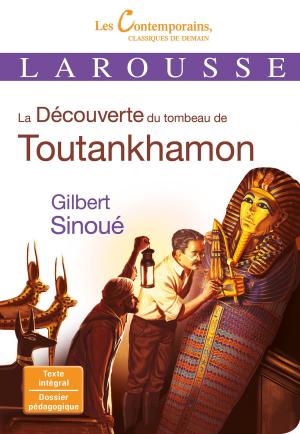 Cover of the book La Découverte du tombeau de Toutankhamon by Élise Delprat-Alvarès