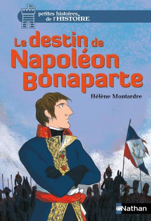 Cover of the book Le destin de Napoléon Bonaparte by Sandrine Kao