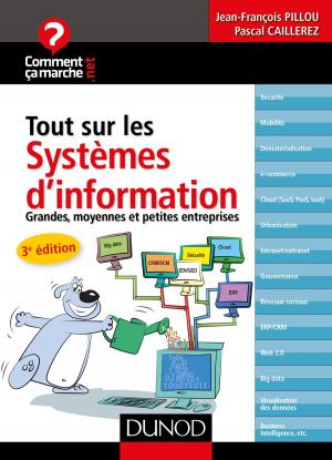 Cover of the book Tout sur les systèmes d'information - 3e édition by Christine Eberhardt
