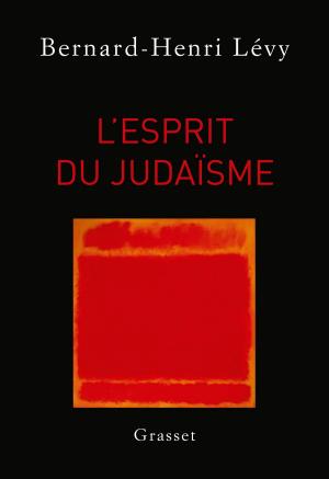 Cover of the book L'esprit du judaïsme by Karine Tuil