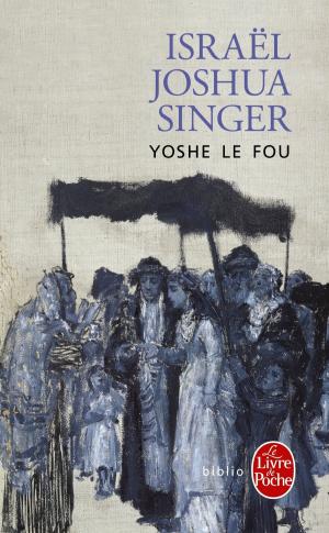 Cover of the book Yoshe le fou by Nicolas Feuz