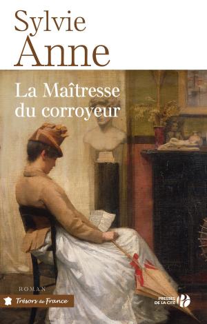 Cover of the book La maîtresse du corroyeur by Jean-Louis FETJAINE