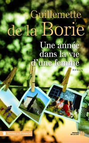Cover of the book Une année dans la vie d'une femme by Nicolas FREELING