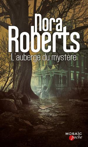 Cover of the book L'auberge du mystère by Elise Gravel