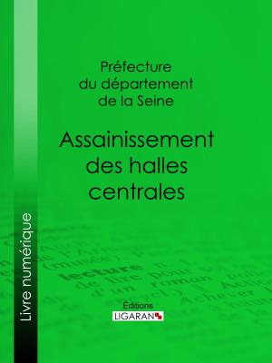 Cover of the book Assainissement des halles centrales by Prosper de Lagarde, Ligaran