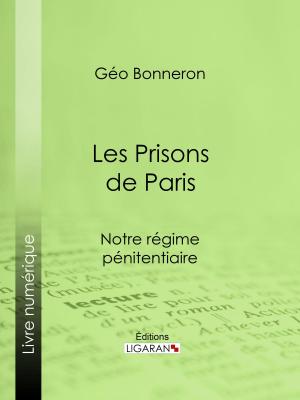 Book cover of Les Prisons de Paris