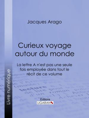 Cover of the book Curieux voyage autour du monde by Victor Basch, Ligaran