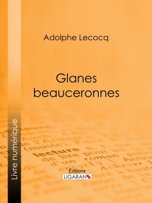 Cover of the book Glanes beauceronnes by Erckmann-Chatrian