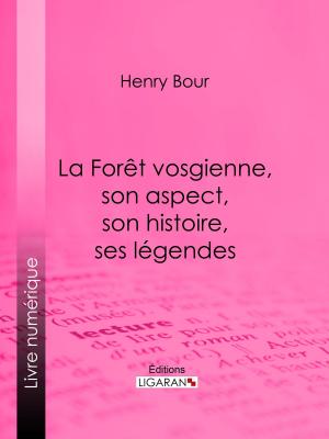 Cover of the book La Forêt vosgienne, son aspect, son histoire, ses légendes by Pierre Bernard, Ligaran