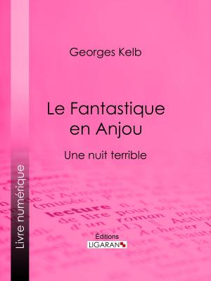 Cover of the book Le Fantastique en Anjou by Léopold Lacour, Ligaran