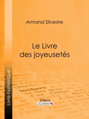 Book cover of Le Livre des joyeusetés