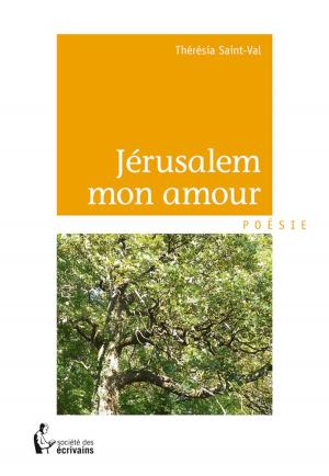 Cover of the book Jérusalem mon amour by Emmanuel Vangu Vangu
