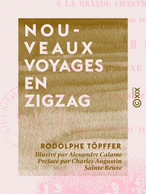 Cover of Nouveaux voyages en zigzag
