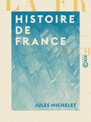 Cover of the book Histoire de France by Louis Ménard