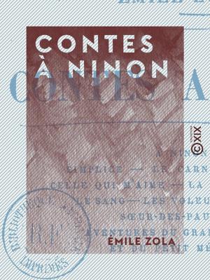 Cover of the book Contes à Ninon by Jacques Porchat