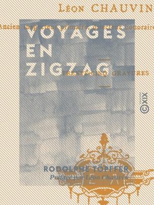 Cover of the book Voyages en zigzag by René Ménard