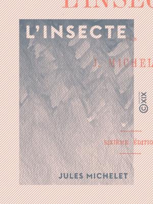 Cover of the book L'Insecte by Joseph Méry