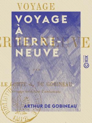 Cover of the book Voyage à Terre-Neuve by Edmond Auguste Texier