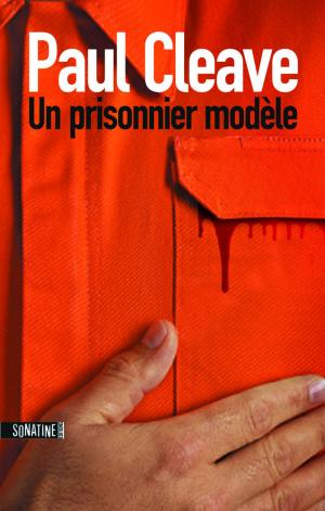 Cover of the book Un prisonnier modèle by Tess SHARPE