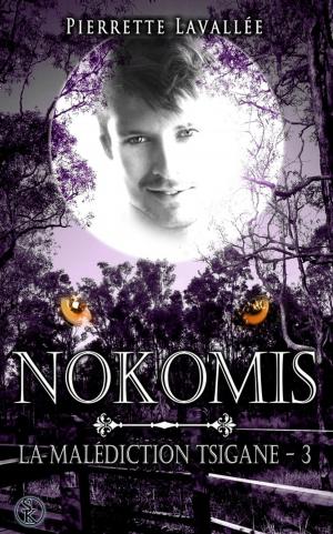 Cover of the book Nokomis by Françoise Gosselin