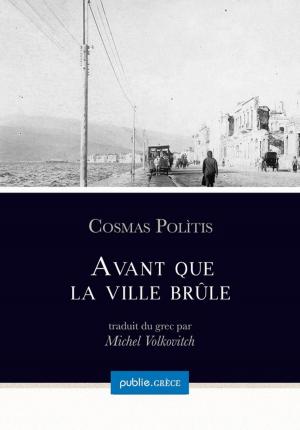 Cover of the book Avant que la ville brûle by Eric Chevillard