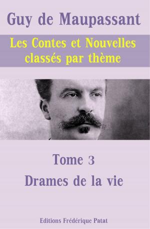 Cover of the book Les Contes et Nouvelles classés par thème - Tome 3 : Drames de la vie by Pierre de La Gorce