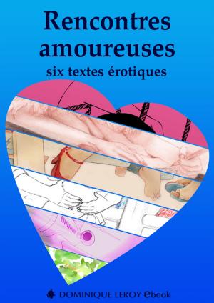 Cover of the book Rencontres amoureuses by Marie Laurent, Fêteur De Trouble, Noann Lyne, Wen Saint-Clar