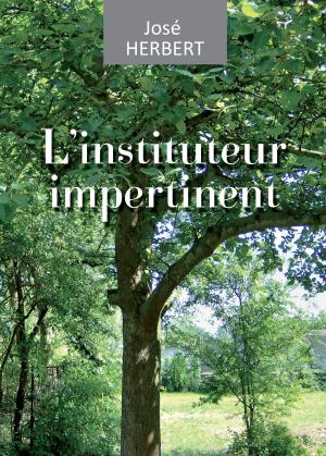 Cover of the book L'instituteur impertinent by Mary-Beth Hughes