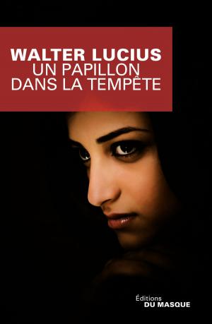 Cover of the book Un papillon dans la tempête by Barbara Abel