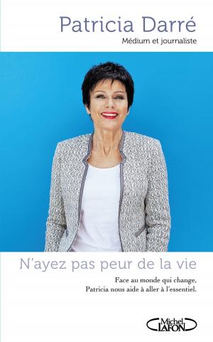 Cover of the book N'ayez pas peur de la vie by Michel Feltin-palas