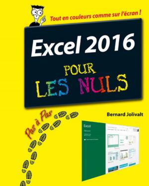 Cover of the book Excel 2016 Pas à pas pour les Nuls by Nathalie COULAUD