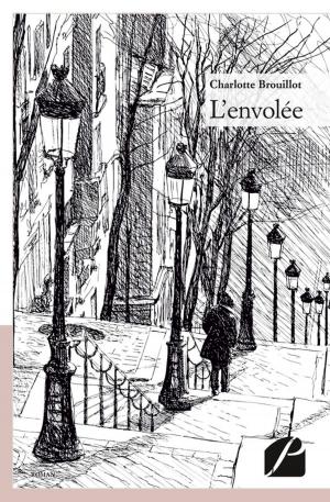 Cover of the book L'envolée by Aldo Oumouden
