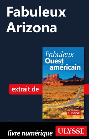 Cover of the book Fabuleux Arizona by Mathieu Boisvert