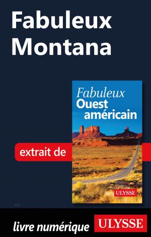 Cover of the book Fabuleux Montana by Alain Legault