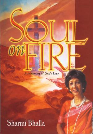 bigCover of the book Soul On Fire by 