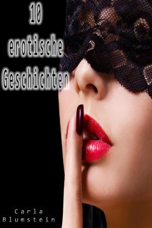 Book cover of 10 erotische Geschichten